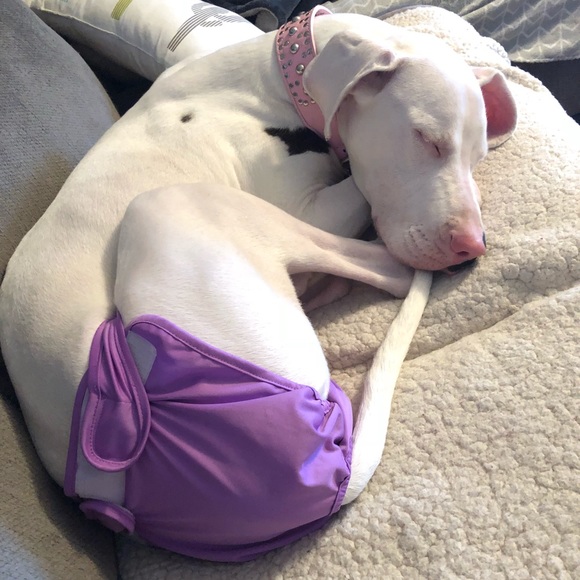 Meet your Posher, Leslie - Picture 3 of 3